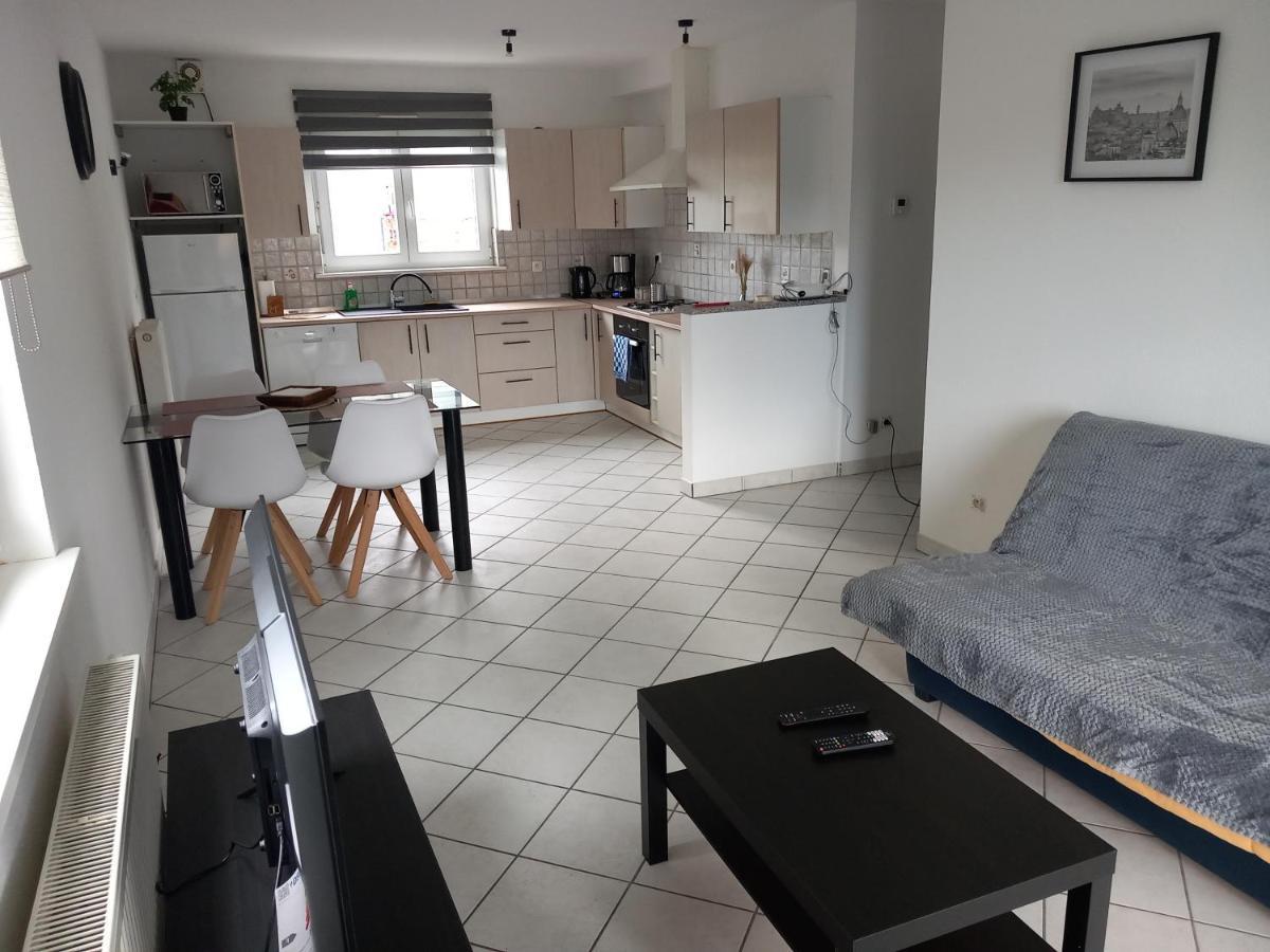 Appartement 3 Pieces Avec Balcon Rhinau Extérieur photo
